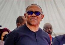 If I were him, I would be extremely suspicious – Adibe warns Obi on ADC coalition