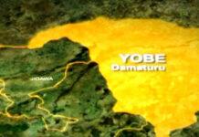 Troops, CJTF kill terrorist in Yobe ambush, recover AK-47, motorcycles