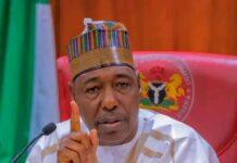 Zulum leads N’East govs to Tinubu, demands urgent completion of 17 roads, oil exploration