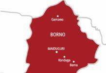 Death toll from ISWAP attack in Borno village rises to 50