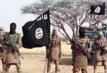 ‘Niger Republic air strikes: Boko Haram commander debunks death reports