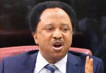 Shehu Sani responds to Jonathan’s claim that Nigerian politics is full of betrayers