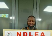 NDLEA smashes cocaine cartels behind 6 UK-bound shipments, arrests arrowhead, 5 others