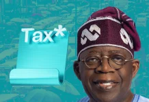 Tinubu’s New Tax Policy: What Nigerians Abroad Must Know Before January 2026