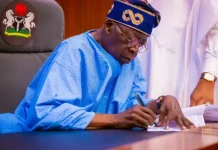 Tinubu Sets Up Tegbe Committee to Oversee New Nigerian Tax Law Implementation