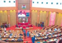Senators Question Aviation Minister on Soaring Flight Costs