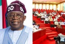 Tinubu Asks Senate to Authorize Troop Deployment to Benin Republic