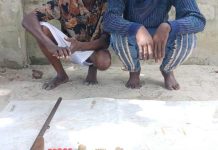“Police Nab Two Armed Robbery Suspects, Recover Guns & Ammunition in Ughelli Raid”