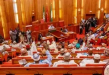 Senate Ambassadorial Screening Marred by Procedural and Personality Conflicts