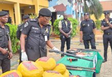 Delta Police Command Cracks Down on Crime, Recovers Firearms, Arrests Suspects
