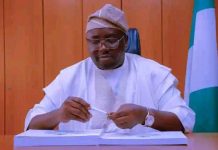 Power Reforms Continue Despite Zero Capital Release in 2025 — Adelabu