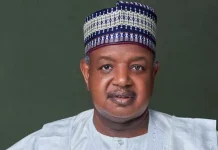 Bagudu Urges Nigerians Not to Assess Tinubu Along Regional Lines