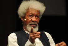 Soyinka Criticises Leaders for Embracing Colonial-Era Governance Styles