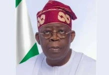 Ameh, Ex-IPAC Chair, Accuses Tinubu of Lying Over Election Glitches