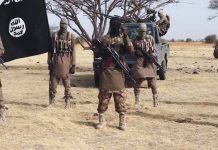 Maiduguri Route Attack: Boko Haram Destroys Food Trucks, Sparks Panic