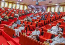 Senate Urges Federal Government to Establish Kwande Military Base Following Surge in Attacks
