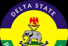 Delta Police Arrest 11 More Over Ozoro Sex Assaults, Total Held Now 15