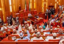Nigeria’s Economic Future: Senate Schedules Meeting With IMF