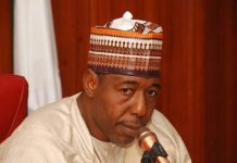 Zulum Apologizes for Shortcomings of His Government