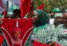 Woman in Viral Kano Underwear Campaign Secures Political Role
