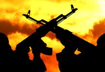 Monarch, Police Escorts Killed as Gunmen Strike at Night,