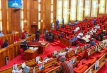 Insecurity Worsening: Baba Yusuf Warns Bandits Could Reach National Assembly