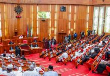 Nigerian Senate Gives Green Light to Tinubu’s $516m Loan Proposal