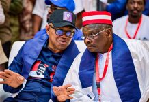 Ardo Opens Up On Warning To Peter Obi, Kwankwaso Over NDC Strategy