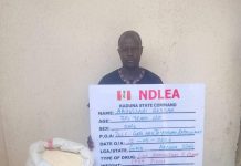 NDLEA Busts Drug Traffickers Concealing Cocaine In Carton Panels