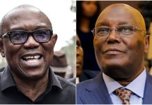 ‘Most Foolish Move’ – APC Leader Accuses Atiku of Political Plot Involving ADC, Calls Out Peter Obi