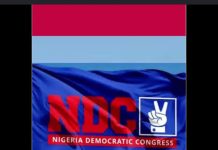 NDC Ends Presidential Nomination Sales, Gives Extension For Other Contests