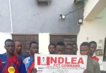 NDLEA dismantles Abuja drug bunks, arrests 132, recovers 220kg illicit substances
