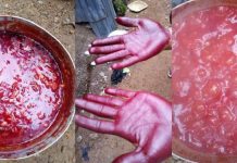 Crackdown: Lagos Seals Shop for Allegedly Selling Adulterated Palm Oil