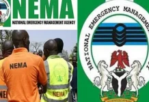 NEMA Strengthens Collaboration With DSS On Emergency Response