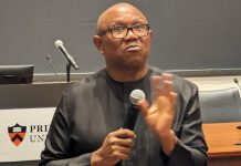 Peter Obi Faces Doubt In Northern Nigeria Despite Kwankwaso’s Political Influence, Says Muhammad, Ibrahim