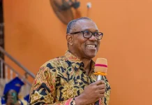Peter Obi Says NDC Is Not A One-Man Show, Unveils New Promises Ahead Of 2027