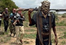 Tragedy In Zamfara As Gunmen Murder Local Government Director, Councillor