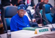 “We Will Remain in This Country” – Nwanyanwu Warns Tinubu Before 2027 Poll