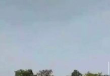 “Attackers Have Taken Over Our Land” – Displaced Nasarawa Community Cries for Help