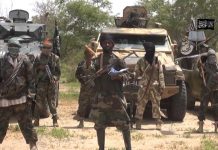 7-Month-Old Baby Among 13 Victims Abducted by Boko Haram in Borno