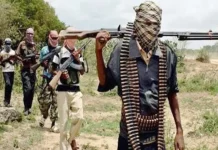 Niger Communities Face Extortion as Terrorists Demand Food and Materials