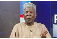 State Police Debate: Galadima Warns Against Turning Security Outfit Into Political Machinery
