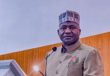 From Civilians to Soldiers, Everyone Is Affected by Insecurity – Defence Minister