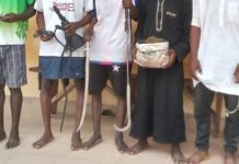 Security Boost as Police Nab 10 Suspected Criminals in Minna