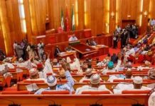 Nigerian Customs Exonerated as Senate Committee Dismisses N62.2bn Under-Remittance Claim