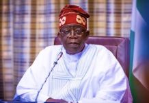 Tinubu Encourages Nigerians to Criticise and Disagree With His Government