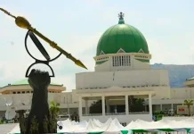 NCYP Applauds Tinubu, Lawmakers Over State Police Bill Amendment