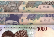 Nigeria’s Foreign Reserves Increase But UAE Loan Risks Remain – Report