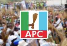Niger APC Chieftain Warns Party Over Outcome Of Primaries