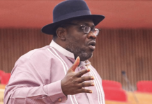 Dickson: Obi, Kwankwaso’s Alleged Move To NDC Was Long Planned